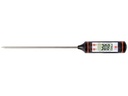 SONDE THERMIQUE NUMÉRIQUE