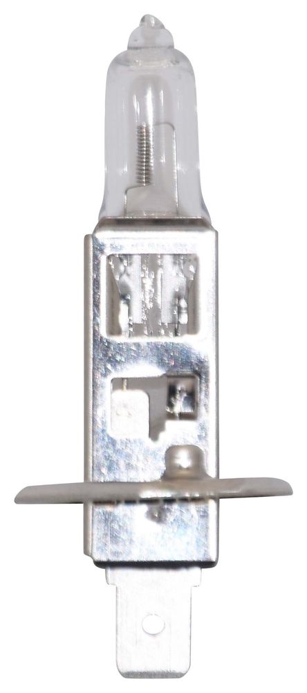 P14,5S 9X58 12V 55W H1