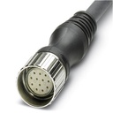 Connecteur femelle M23, droite, 12 pôles, câble multiconducteurs 5 m